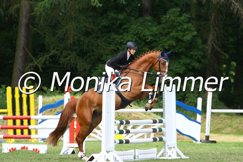 007L8903_Silvio B_Springpferde_Axx.JPG